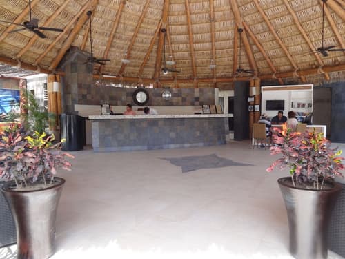 Park Royal Homestay Los Cabos, Reception