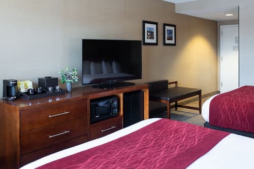 Comfort Inn & Suites Logan International Airport, Room