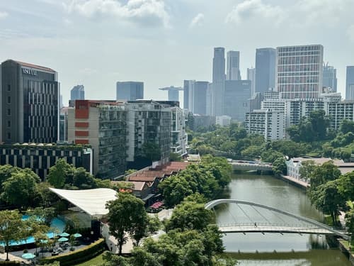 Grand Copthorne Waterfront Hotel Singapore, View from room