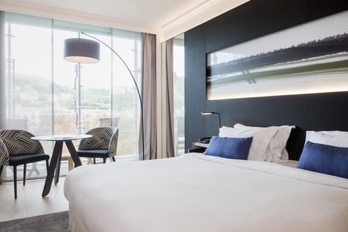 Marriott Lyon Cité Internationale, Room