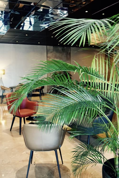 ibis Paris Porte De Bercy, Restaurant