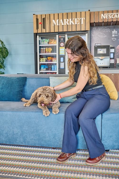 Apartamentos Hesperia Sant Joan, Reception