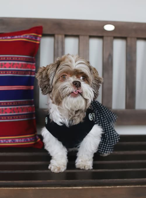 Novotel Cusco, Reception