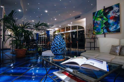 Positano Art Hotel Pasitea, Reception