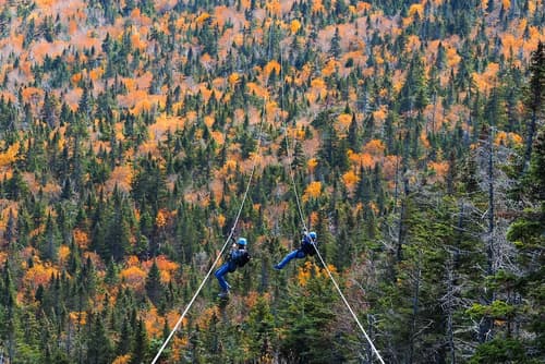 Bluebird Cady Hill Lodge, Ziplining