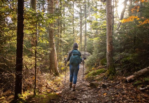 Bluebird Cady Hill Lodge