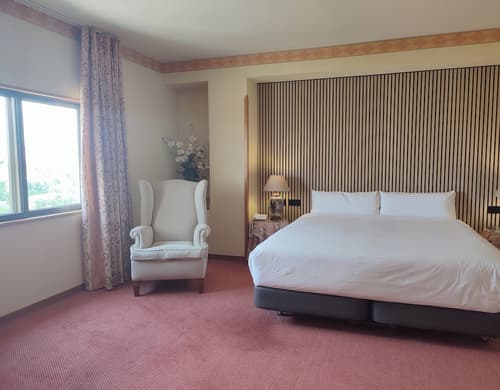 Hotel Sercotel Cuatro Postes, Room