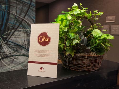 DoubleTree by Hilton Hotel Niagara Falls New York