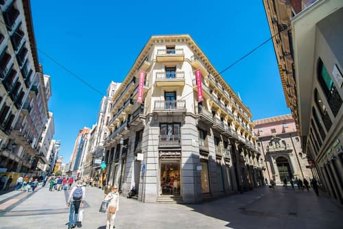 Petit Palace Preciados, Primary image