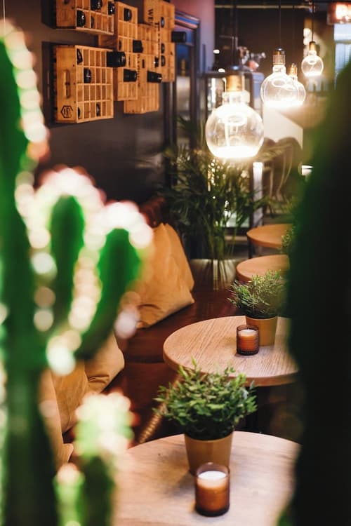 Zoom Hotel, Reception