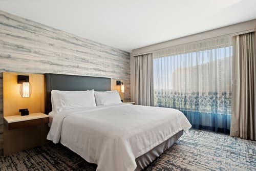 Embassy Suites by Hilton Anaheim South, Room