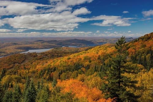Residence Inn by Marriott Mont Tremblant Manoir Labelle
