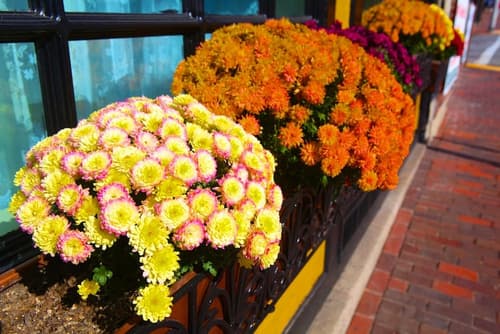 Inn at St John Portland In-Town