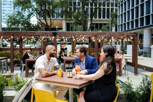 The Whitehall Houston