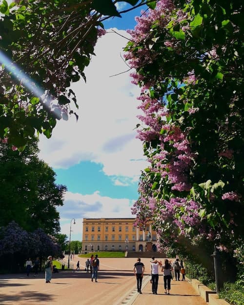 First Hotel Millennium, Bicycling