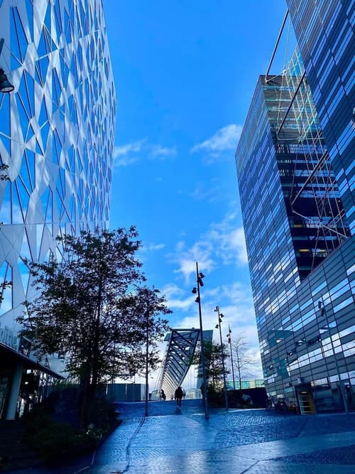 First Hotel Millennium