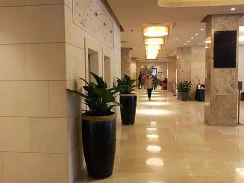 FH55 Grand Hotel Mediterraneo, Lobby