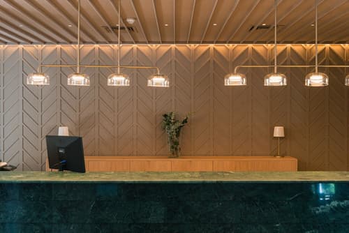 Hotel Port Jardín Milenio, Lobby