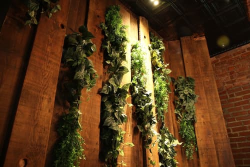 The Sohotel, Reception