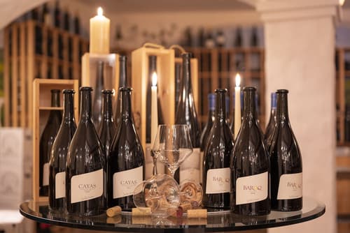 Hotel Schweizerhof Gourmet & Spa, Lobby lounge