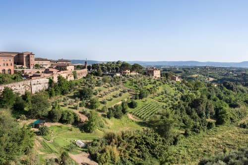 Hotel Athena, Terrace/patio