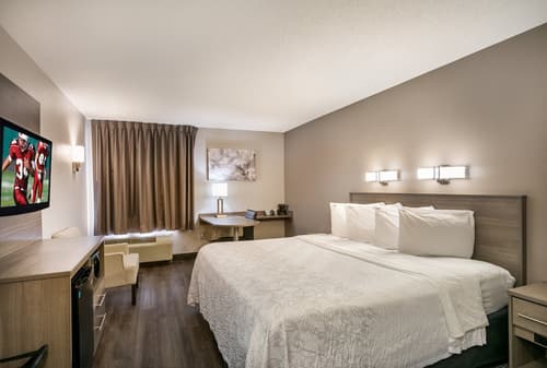 Red Roof Inn PLUS+ Boston - Logan, Room