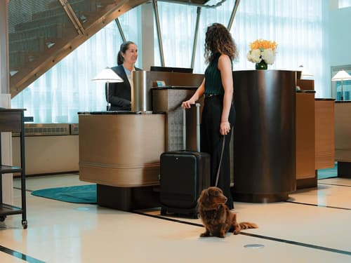 Sofitel Montreal Golden Mile, Reception