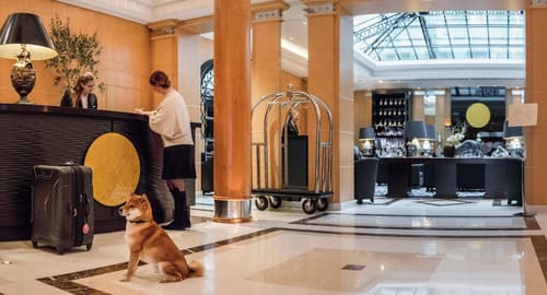 Hyatt Paris Madeleine, Reception