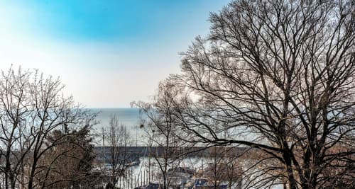 PLAZA Hotel Buchhorner Hof