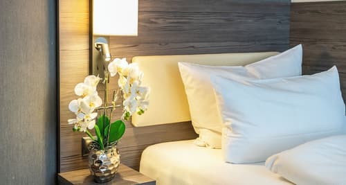 PLAZA Hotel Buchhorner Hof