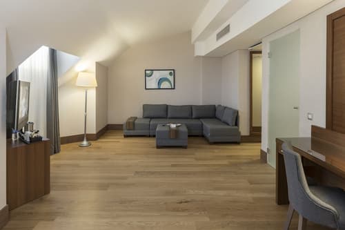 Holiday Inn Istanbul - Old City by IHG, Room