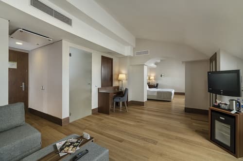 Holiday Inn Istanbul - Old City by IHG, Room