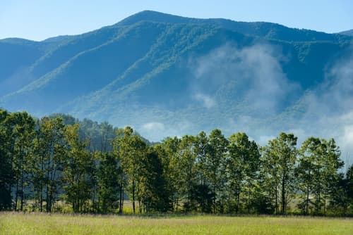 River Terrace Resort & Convention Center