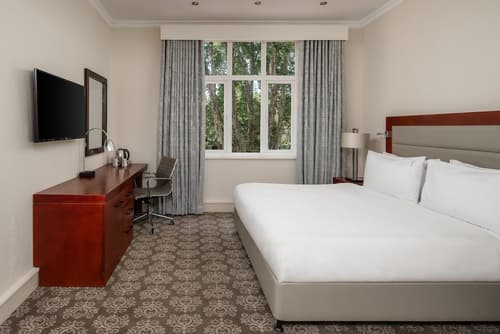Holiday Inn Johannesburg Sunnyside Park by IHG, Room