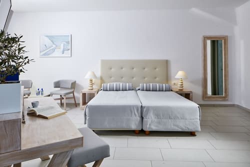 Aegean Plaza Hotel, Room