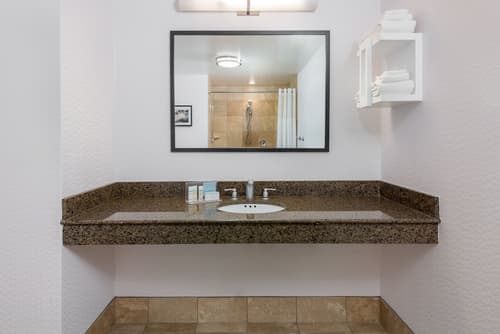 Hampton Inn & Suites Buffalo Downtown, Room