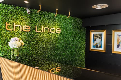 The Lince Azores, Reception
