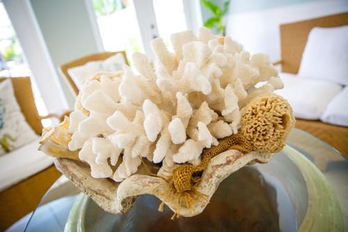 Naples Garden Inn, Lobby