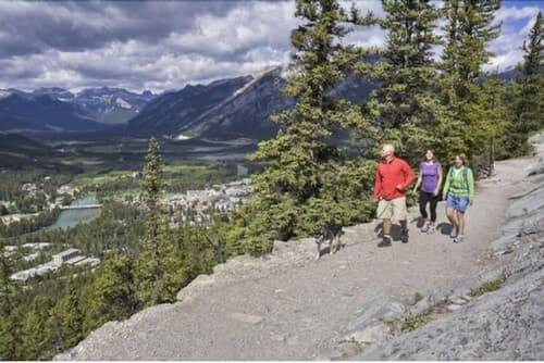 Douglas Fir Resort and Chalets