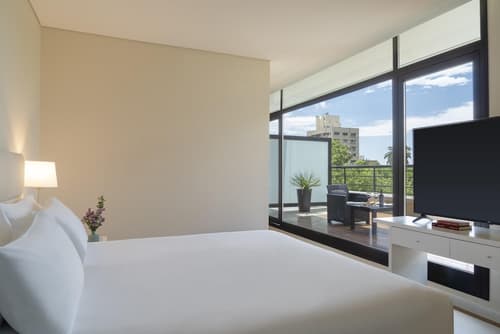 NH Mendoza Cordillera