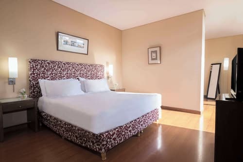 NH Mendoza Cordillera, Room