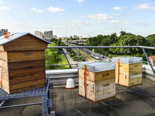 Hôtel ibis Orly Chevilly Tram 7