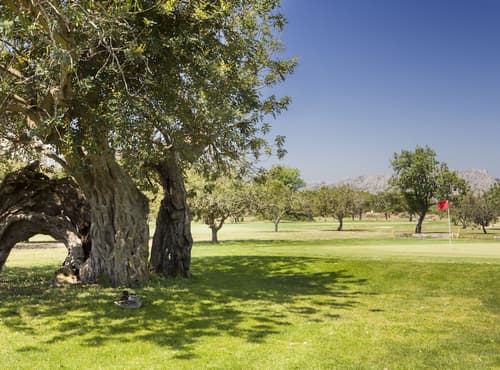 Denia Marriott La Sella Golf Resort & Spa, Golf