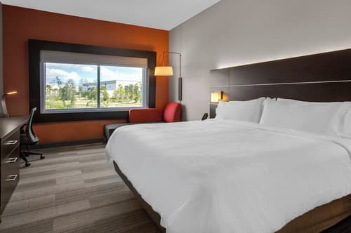 Holiday Inn Express & Suites Sanford- Lake Mary by IHG, Room