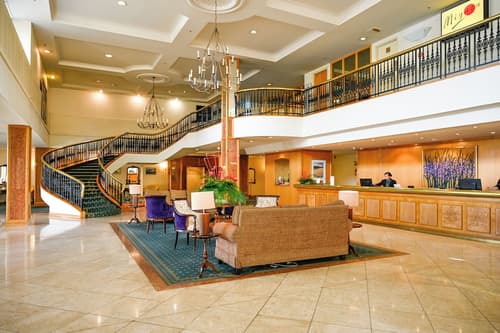 Rutherford Hotel Nelson, Reception