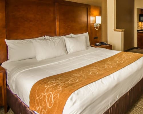 Quality Suites NYC Gateway, Room