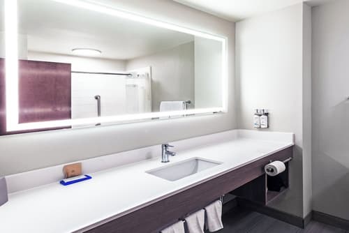 Holiday Inn Express Harvey-Marrero by IHG, Room