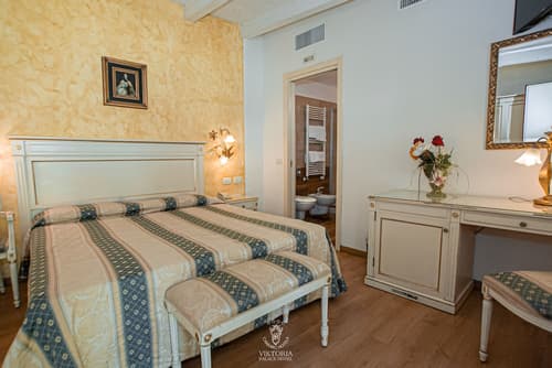 Viktoria Palace Hotel, Room