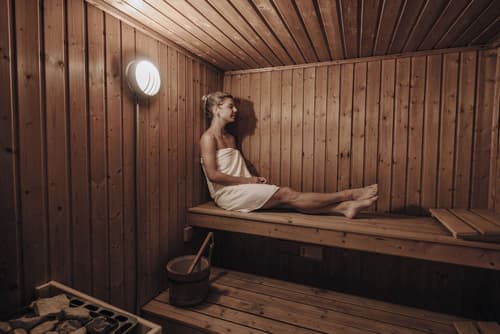 Hotel Chalet Swiss, Sauna