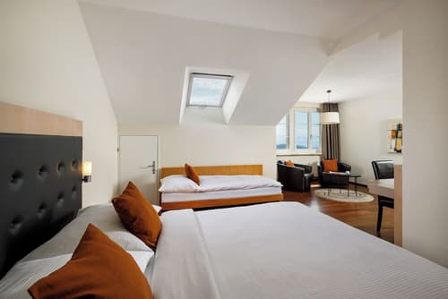 Hotel UTO KULM car- hideaway in Zurich, Room